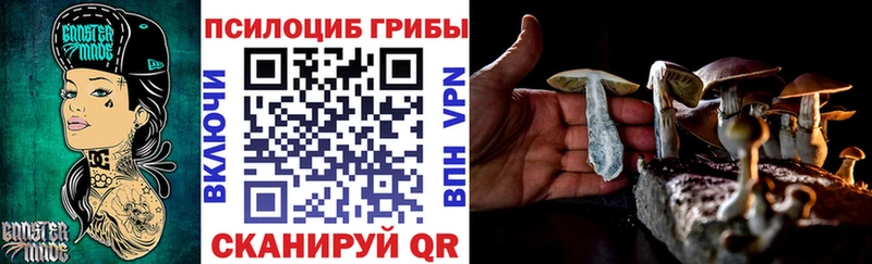 купить закладку Ельня маркетплейс формула Псилоцибиновые грибы Magic Shrooms